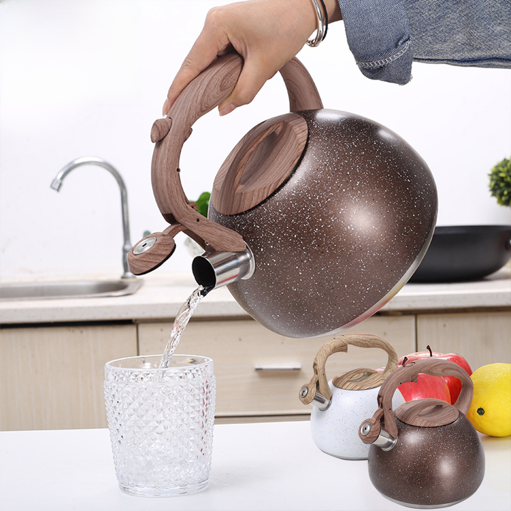 Stainless Steel Whistling Tea Kettle with Wooden Handle